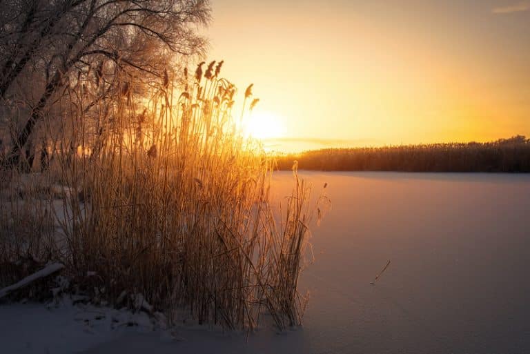 Talvinen järvimaisema auringonlaskun aikaan